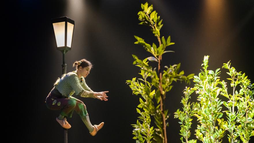 © Rudi Schuerewegen